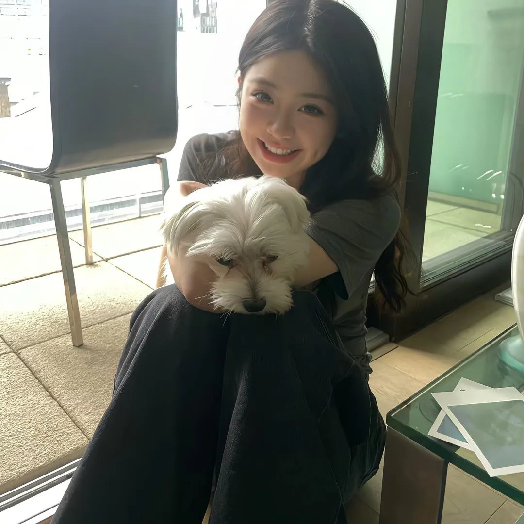 八公犬物语