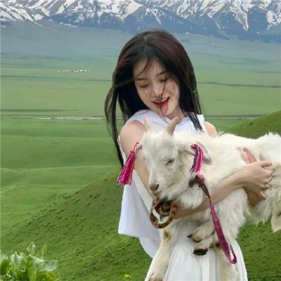 同志亦凡人第五季